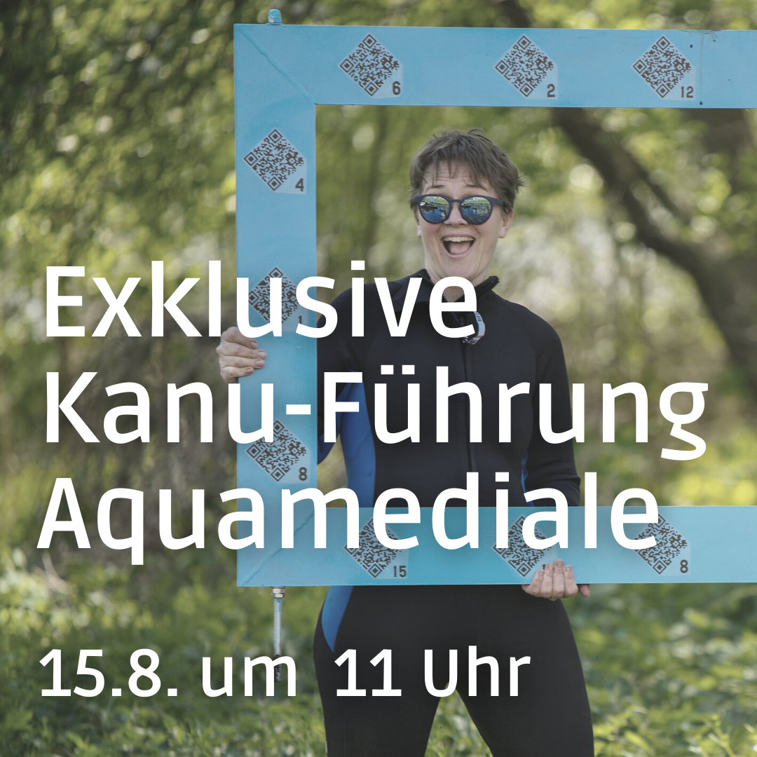 Führung  durch die Aquamediale mit Katalin Pöge